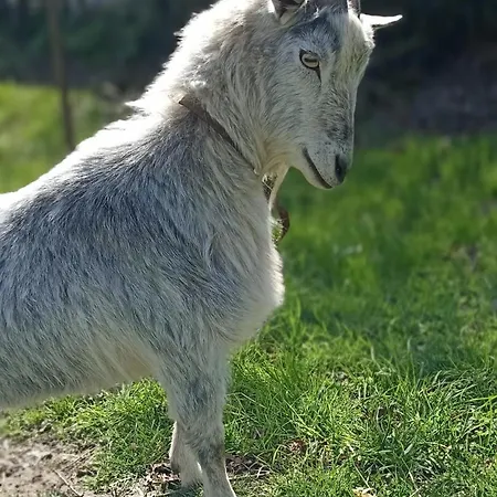 Puydufou -5kms- La Seraphina, 2 A 6 Personnes بيت للعطل Chambretaud